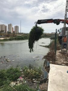 La Confederación Hidrográfica limpia los residuos flotantes del río Segura en Guardamar 7