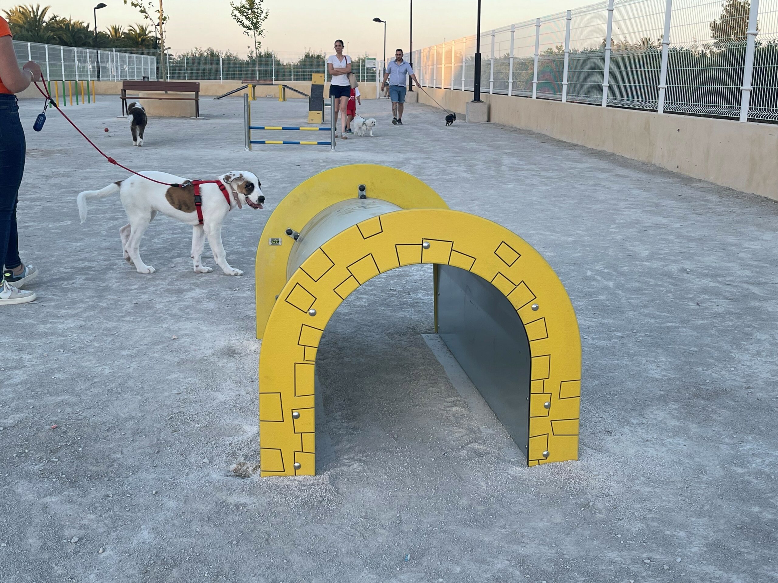 Cox habilita un parque canino con una dimensión de 1.800 metros cuadrados