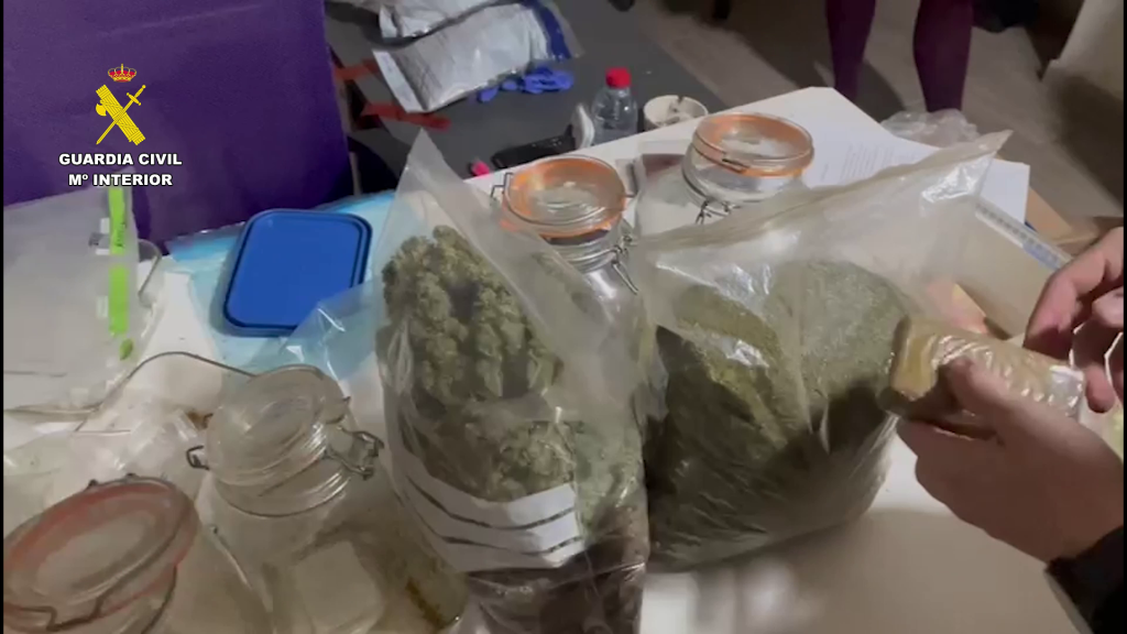 cannabis Torrevieja