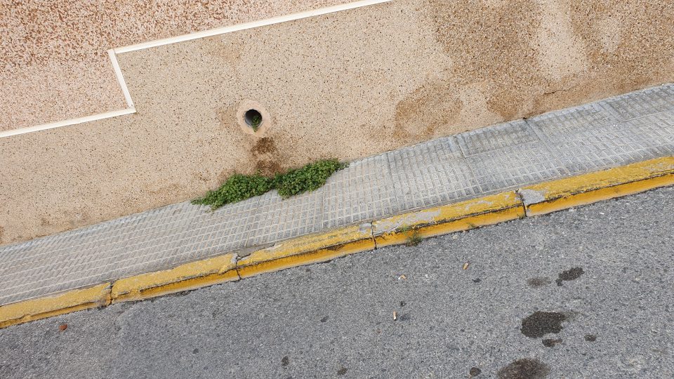 Ciudadanos San Miguel de Salinas critica la falta de limpieza en el casco urbano 6