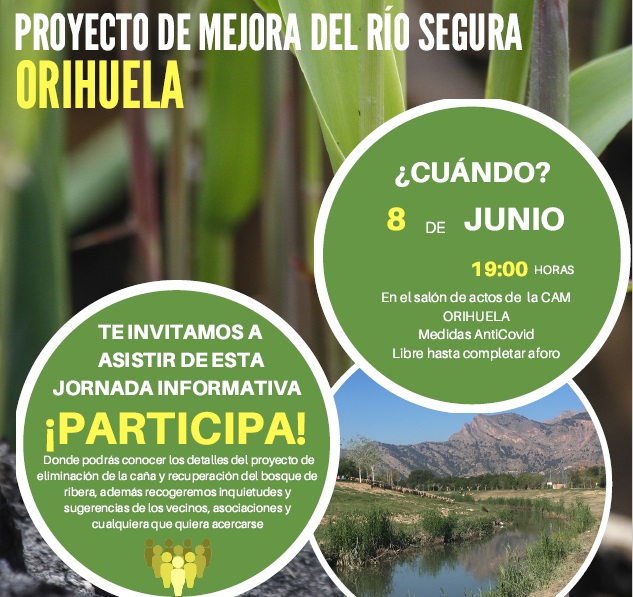 La CHS celebrará la presentación pública del proyecto de mejora del río Segura en Orihuela 6