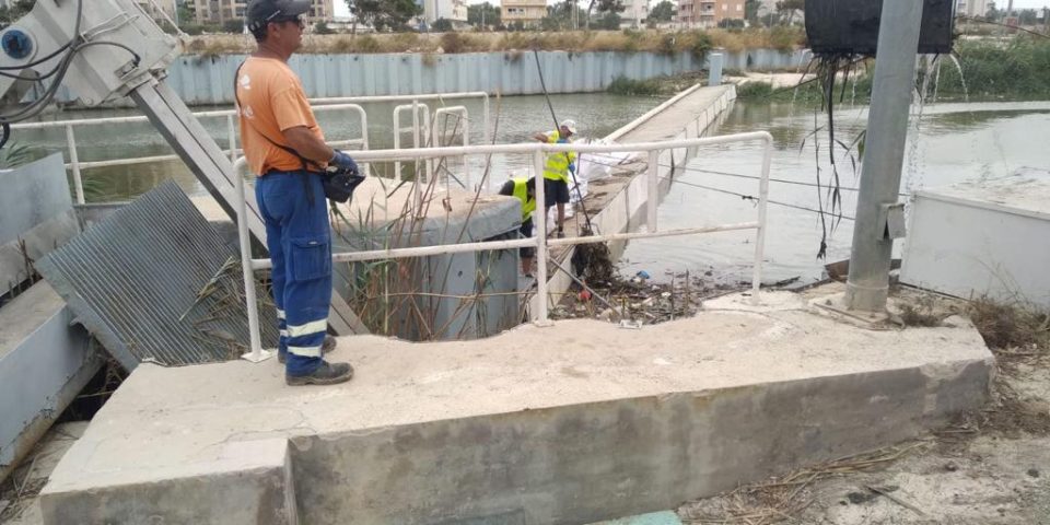 La Confederación Hidrográfica limpia los residuos flotantes del río Segura en Guardamar 6