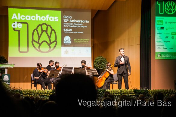FOTOGALERÍA | Alcachofa de la Vega Baja celebra su décimo aniversario con una gran gala 9