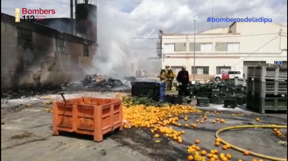 Un incendio calcina un almacén de verduras en Almoradí 6