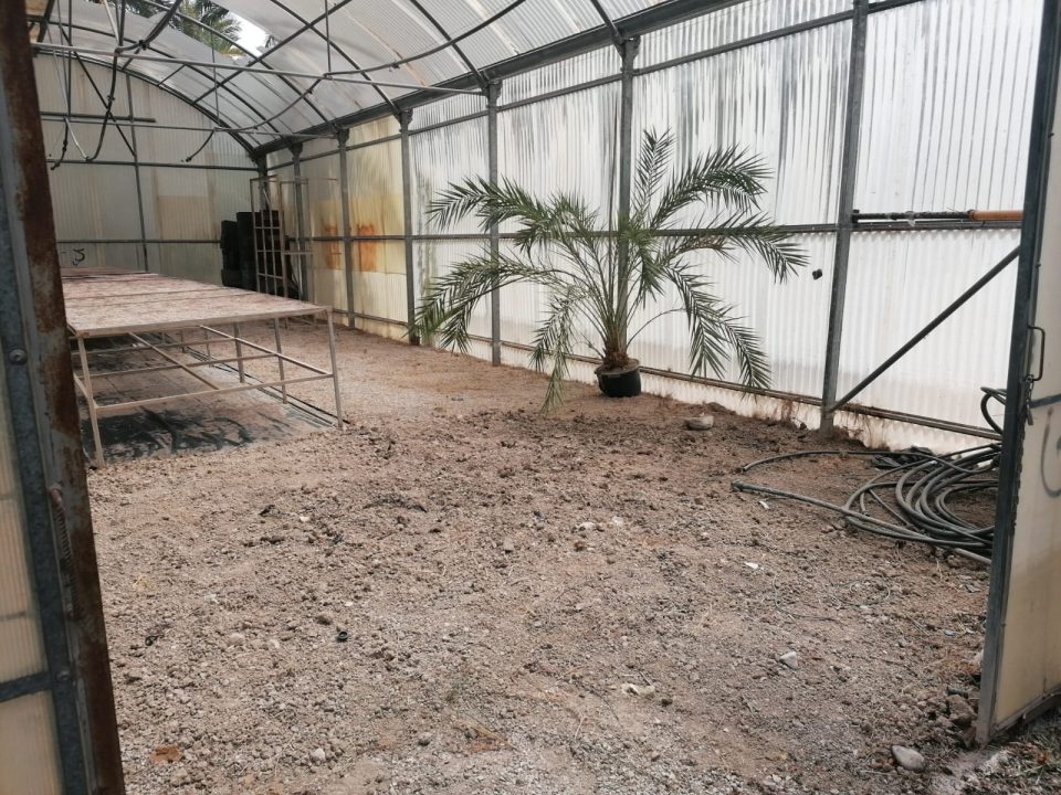 Medio Ambiente ejecuta la rehabilitación del invernadero municipal del Palmeral de Orihuela 6