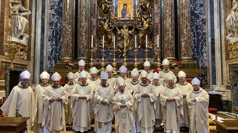 La diócesis Orihuela-Alicante, presente en la próxima audiencia con el Papa Francisco 6