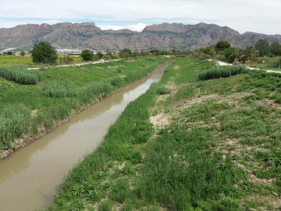 La CHS investiga cuatro vertidos en el río Segura 6